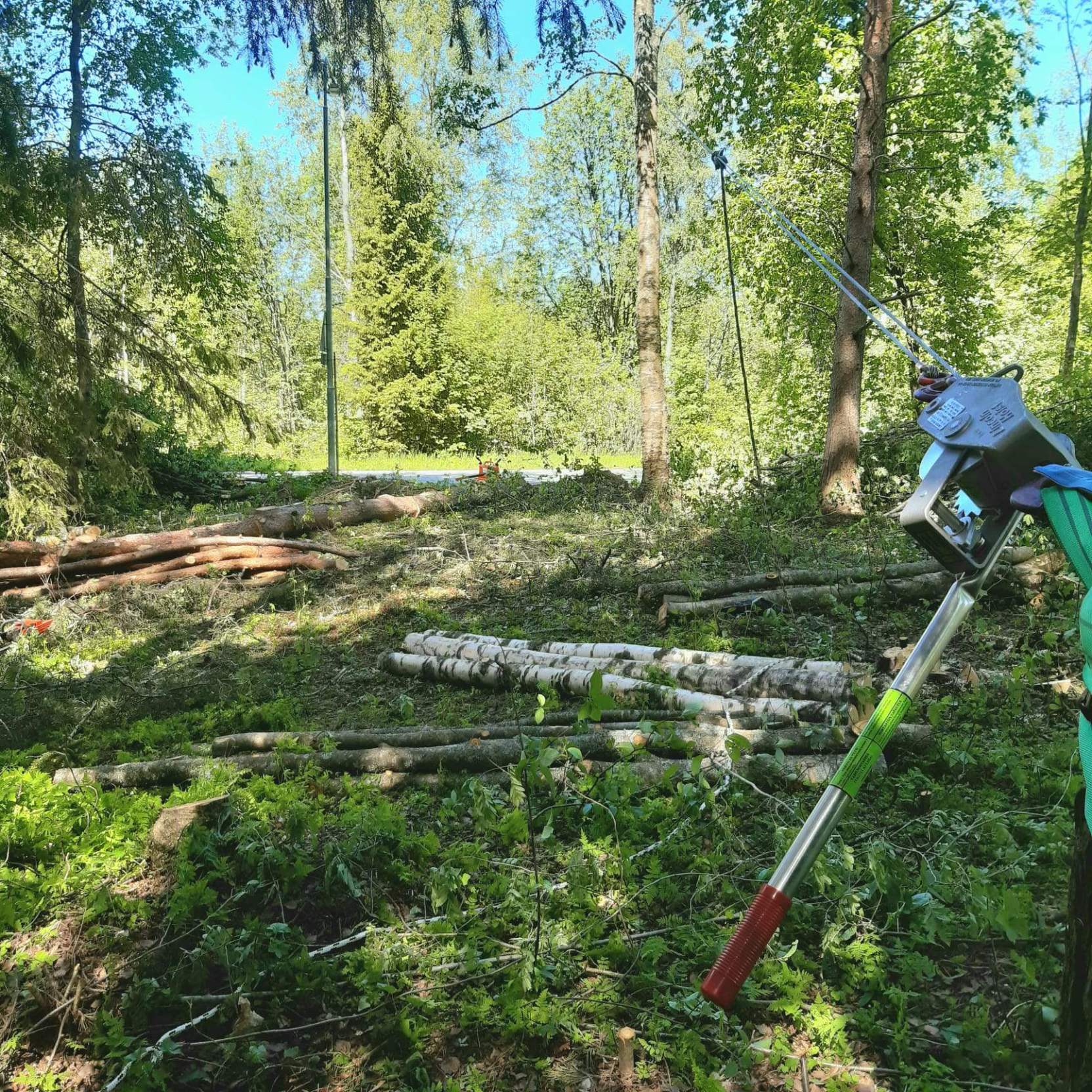 Raivettu alue ja kasatut rungot pihapiirin reunassa